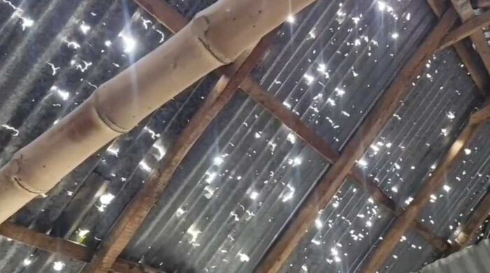 শিলাবৃষ্টি ও ঝড়ে লালমনিরহাটে ব্যাপক ফসল ও ঘরবাড়ি ক্ষতি