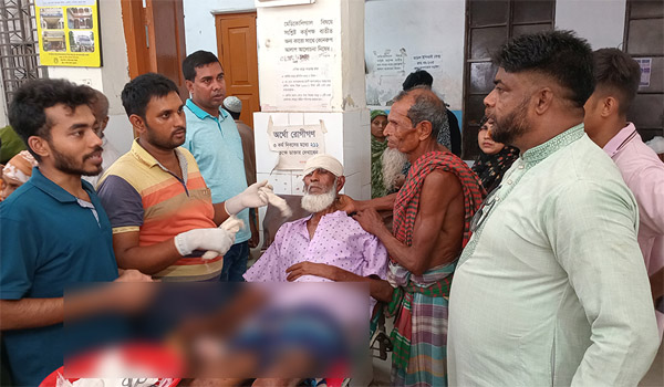 লোহাগড়ায় আধিপত্য সংঘর্ষে ইউপি সদস্যসহ আহত ১২