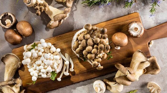 মাশরুম স্বাস্থ্য উপকারিতা বাংলাদেশ