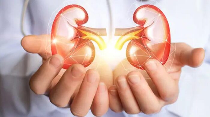 কিডনি দিবস