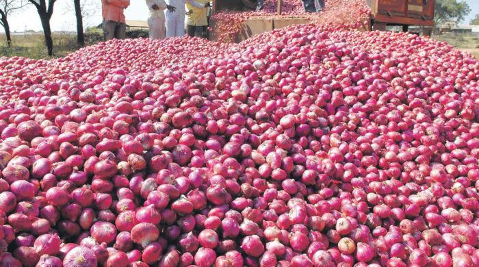 রাজশাহীতে পেঁয়াজের কেজি ৫ টাকা