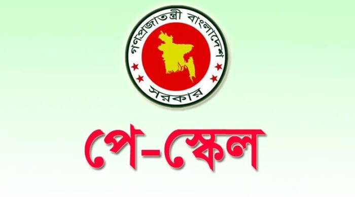 সরকারি কর্মচারী পে স্কেল কর্মসূচি