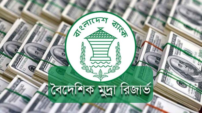 দেশের মোট বৈদেশিক মুদ্রার