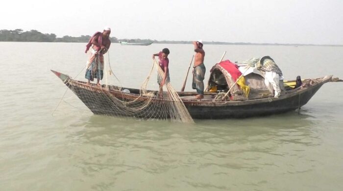 ইলিশ ধরায় নিষেধাজ্ঞা শেষে নদীতে জেলেরা