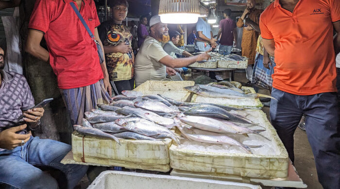 বরিশালের বাজার থেকে হঠাৎ করেই যেন উধাও ইলিশ