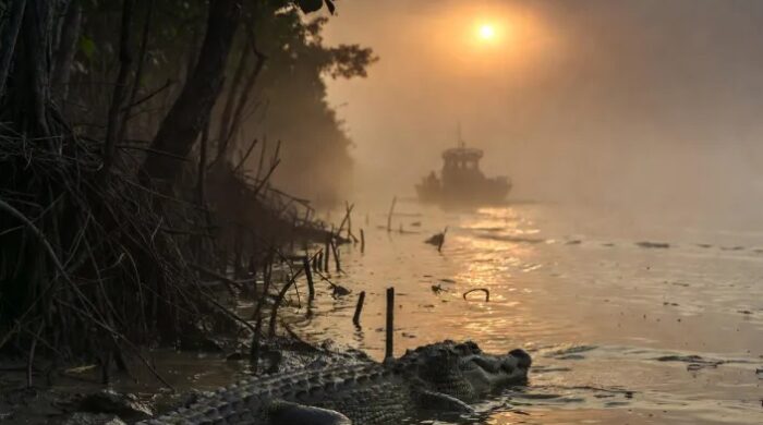 বাংলাদেশ সীমান্তে সরীসৃপ মোতায়েন আলোচনায়