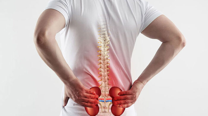 দৈনন্দিন যেসব ভুলে নষ্ট হতে পারে কিডনি