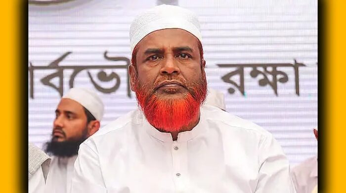 গণভোট কর্মসূচি ঘোষণা