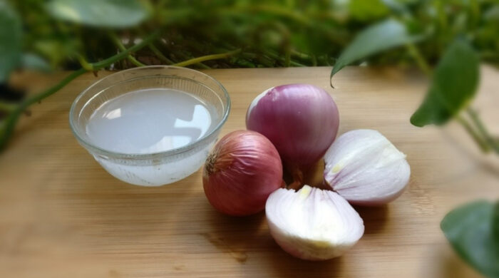 পেঁয়াজের পুষ্টিগুণ ত্বক ও চুলের যত্নে কার্যকর ভূমিকা রাখে। জানুন এর উপকারিতা, ব্যবহার পদ্ধতি ও সতর্কতা সহজভাবে।