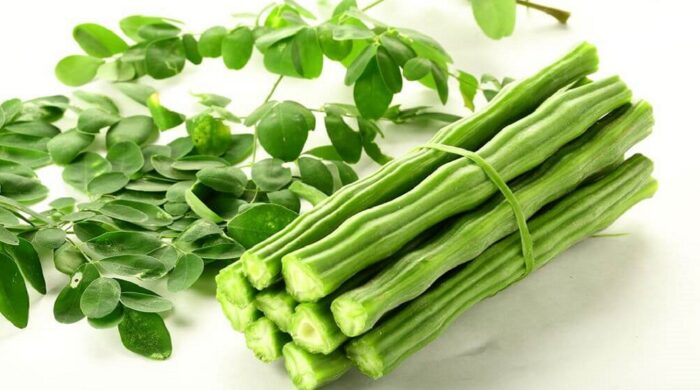 শজনে ও লাজনা পার্থক্য