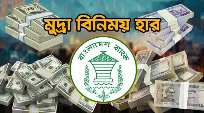 বাংলাদেশি টাকার বিনিময় হার