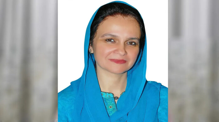 সংরক্ষিত আসনে বিএনপির মনোনয়ন পেলেন জীবা আমিনা