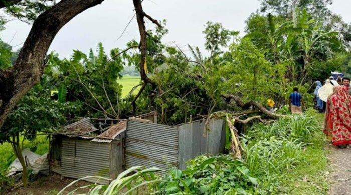 কালবৈশাখীর তাণ্ডবে ঘরভাঙা, প্রাণ গেল নারীর