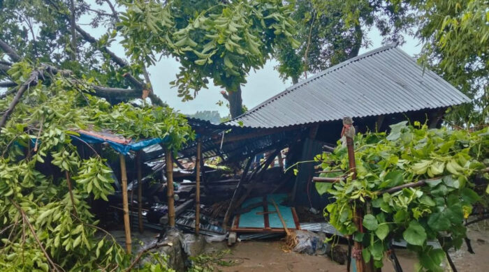 ঝড়ে গাছ পড়ে প্রাণ গেল দোকানি উমা চন্দ্রের