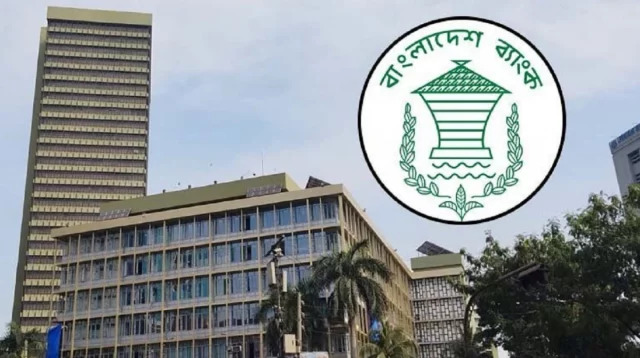 সরকারি ব্যাংক ঋণ ছাড়াল এক লাখ কোটি