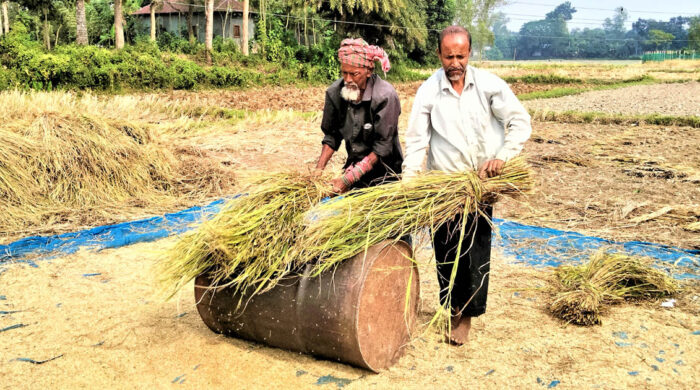 বাম্পার ফলনেও খুলনায় কৃষকের কান্না