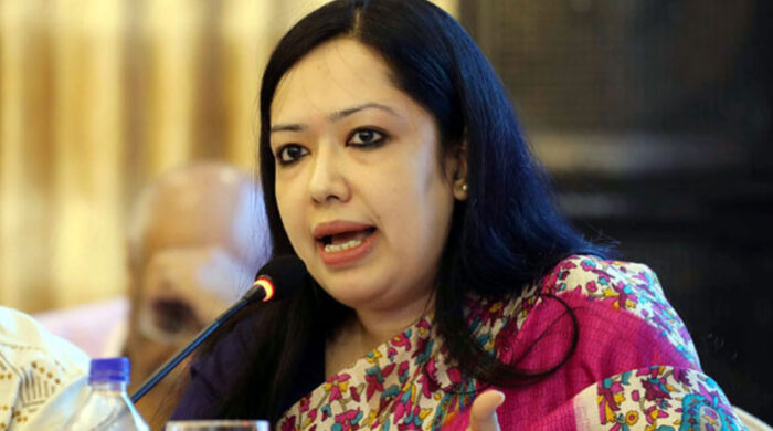 পুঁজিবাজারে লুটপাটের বিচার ও আস্থা ফেরানোর দাবি রুমিন ফারহানার