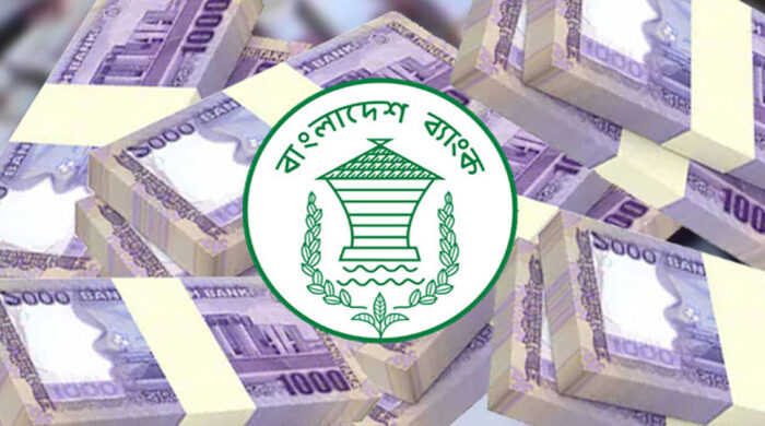 সরকারের ঋণ কমায় স্বস্তি, শঙ্কা মূল্যস্ফীতিতে