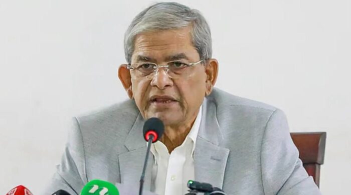 নারী সংসদ সদস্য সংসদ ভূমিকা