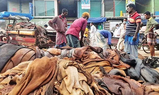 কোরবানির ঈদকে কেন্দ্র করে চট্টগ্রামে ৪ লাখ চামড়া সংগ্রহের লক্ষ্য