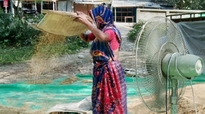 ধান উড়াতে গিয়ে বিদ্যুৎস্পৃষ্টে প্রাণ গেল দম্পতির