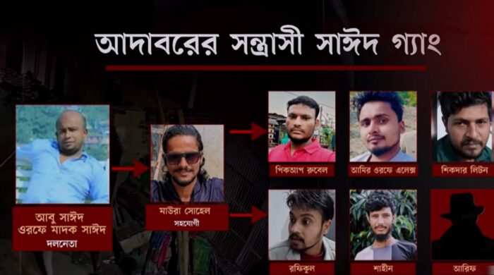 জামিনে বেরিয়ে ফের বেপরোয়া সাঈদ গ্যাং
