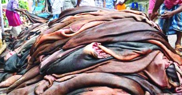 বকেয়া সংকটে চামড়া ব্যবসা বিপর্যয়
