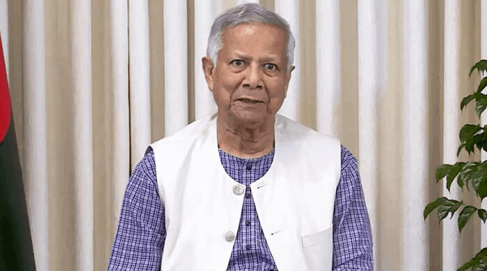 অন্তর্বর্তী সরকারের তদন্ত রিট খারিজ