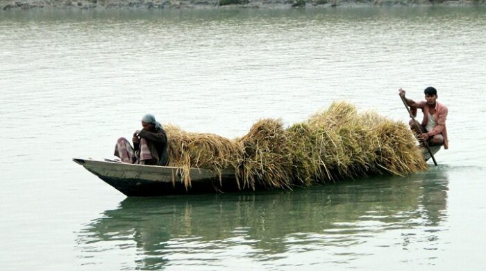 ধানবোঝাই নৌকাডুবিতে শ্রমিকের মৃত্যু