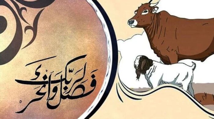 কোরবানি ও আকিকা একই পশুতে আদায় কি জায়েজ