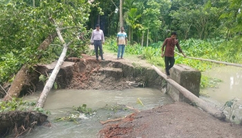 পটুয়াখালীর মির্জাগঞ্জ উপজেলায় সড়ক ভেঙে যোগাযোগ বিচ্ছিন্ন হয়ে পড়েছে।