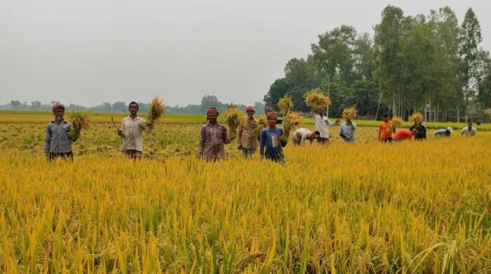 হাওরের ক্ষতিগ্রস্ত কৃষকদের জন্য বিশেষ ঋণ সুবিধা