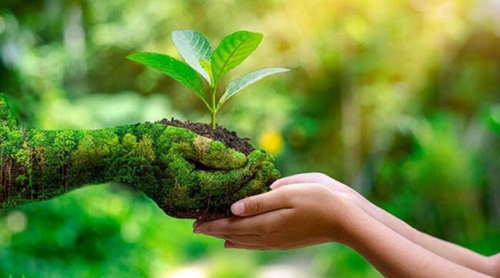 বিশ্ব পরিবেশ দিবস: প্রকৃতির সুরক্ষায় আজ অঙ্গীকারের দিন