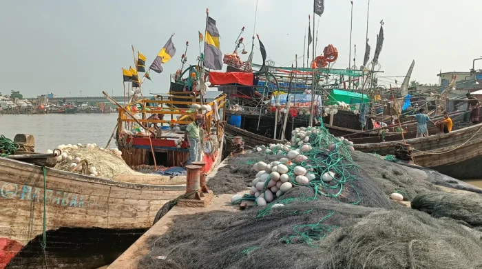 নিষেধাজ্ঞার যাঁতাকলে নেত্রকোনার হাজারো জেলে পরিবার