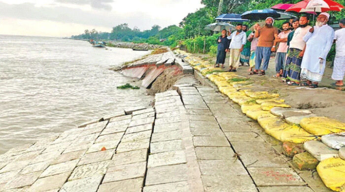 দেড় হাজার কোটি টাকার বাঁধেও থামছে না যমুনার আগ্রাসন