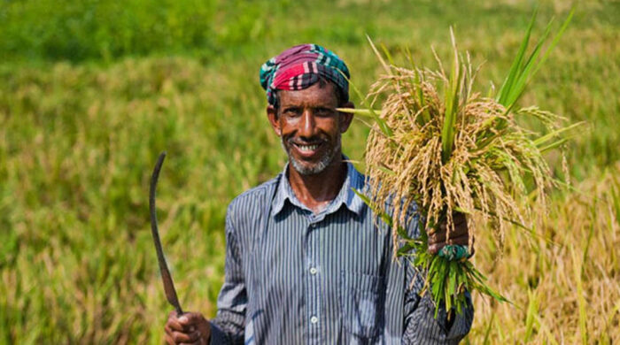 ৭ লাখ কৃষকের ৬০৫ কোটি টাকার ঋণ মওকুফ