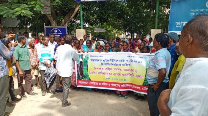 ৫০০ টাকা মজুরির দাবিতে চা শ্রমিকদের বিক্ষোভ