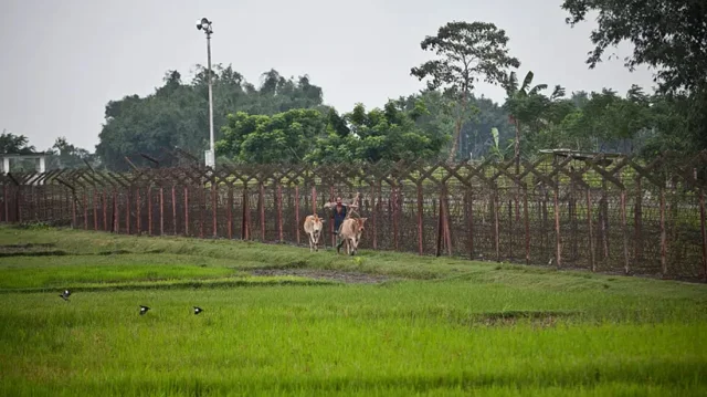 জীবননগর সীমান্তে পুশইনের দাবি, নিখোঁজ ৫ জন