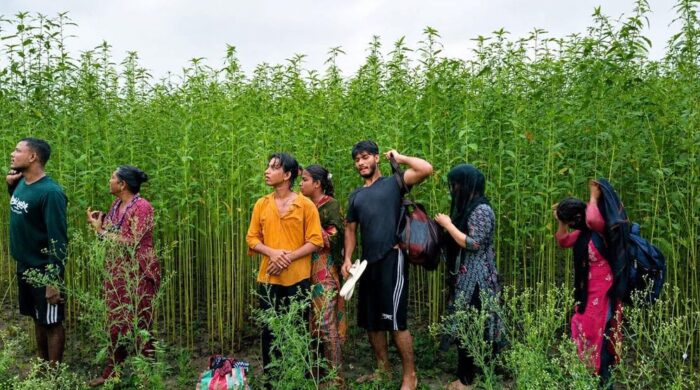 কুষ্টিয়া সীমান্তে ৮ জনকে পুশইনের চেষ্টা, রুখে দিল বিজিবি