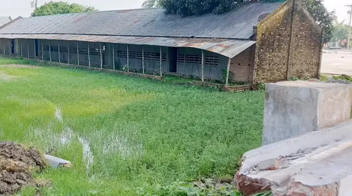 ভূতুড়ে প্রতিষ্ঠানের নামে টিআর বরাদ্দ, উঠছে অনিয়মের অভিযোগ