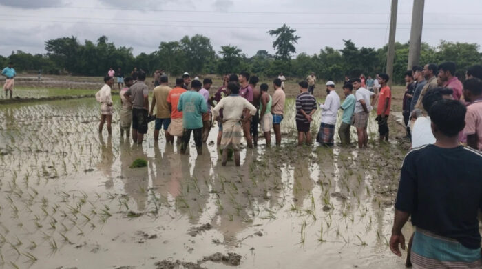 ফটিকছড়িতে জমিতে চারা রোপণকালে কৃষকের মৃত্যু