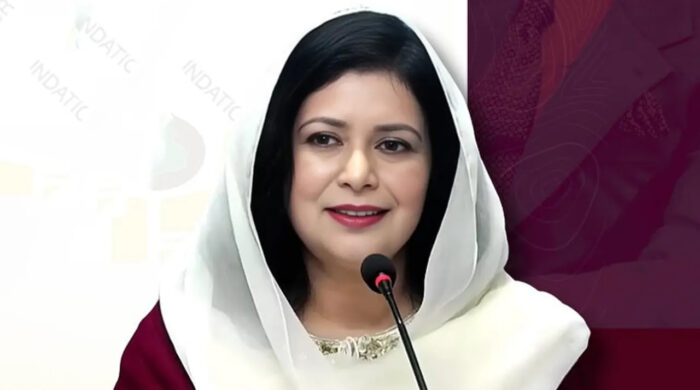 স্বাস্থ্য খাতের অবহেলা নিয়ে ডা. জুবাইদার উদ্বেগ