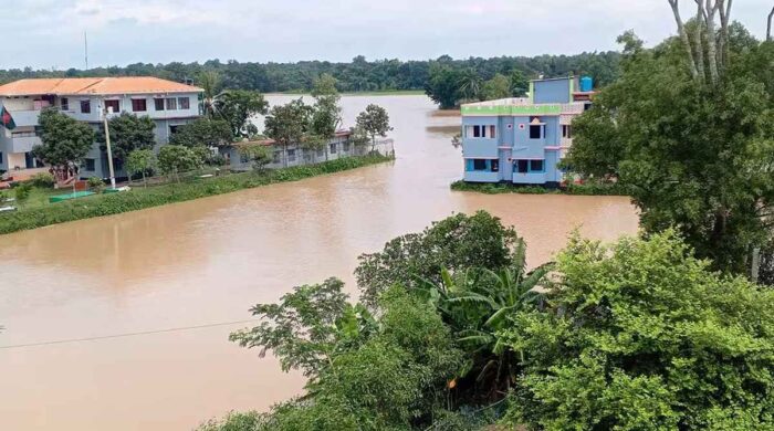 ত্রিপুরার ঢলে আখাউড়ায় ২৫০ হেক্টর জমি প্লাবিত