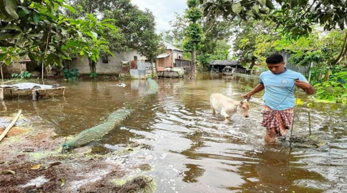 বগুড়ার শেরপুরে জলাবদ্ধতায় ৯ গ্রামের মানুষ ও কৃষিজমি ডুবছে