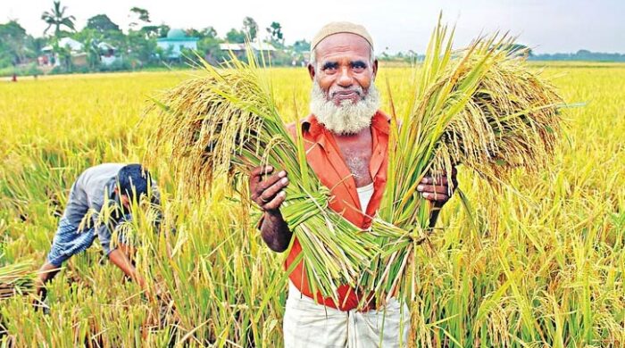 কৃষি ঋণের লক্ষ্যমাত্রা বেড়ে ৬০ হাজার কোটি টাকা