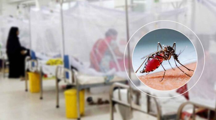 সেপ্টেম্বরে আরও ভয়ংকর হতে পারে ডেঙ্গু