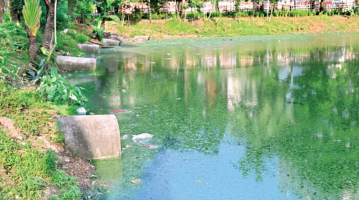 ২,৮২২ ভবনের পয়ঃবর্জ্য পড়ছে লেকে
