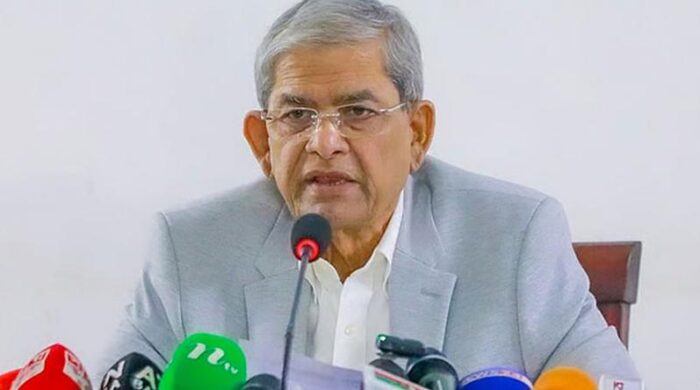 রাষ্ট্রপতি হলেও জনগণের পাশে থাকব: মির্জা ফখরুল