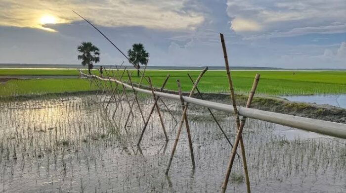 বালু ভরাটে ৬০ বিঘা ফসলি জমি দখলের অভিযোগ