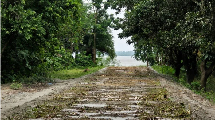 নির্জন সড়কে ৩৫ লাখ টাকা ব্যয়, প্রশ্নে উন্নয়ন